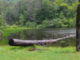 A Cozy Picnic Spot