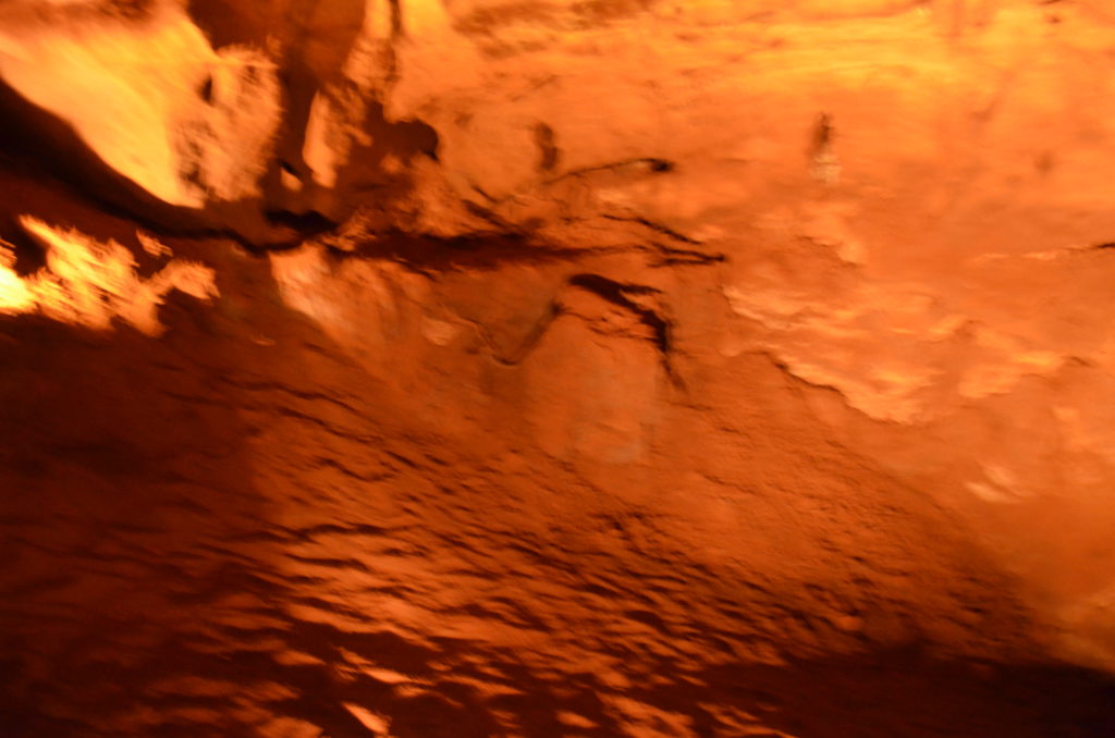 DSC_2846.JPG
