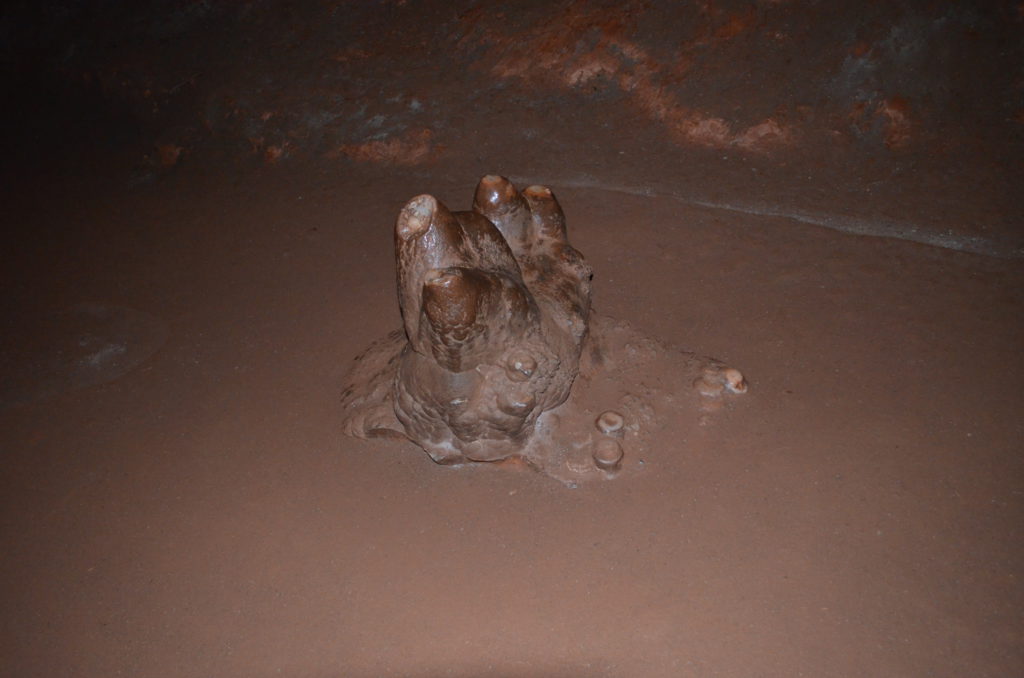 DSC_2928.JPG
