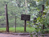 Graveyard at Cades Cove Methodist Church