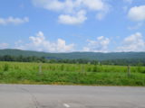 Cades Cove - DSC_3074.JPG