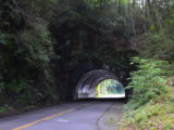 Tunnel