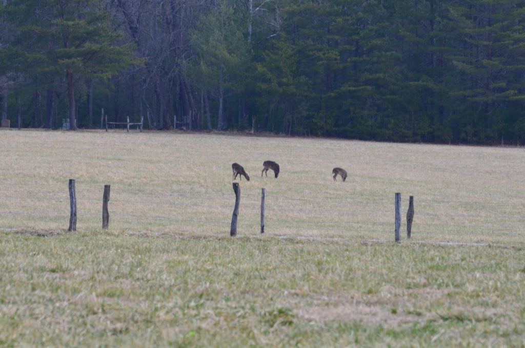 DSC_4192.JPG