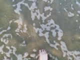 20140627_091244.jpg