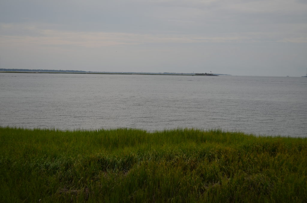 DSC_4815.JPG
