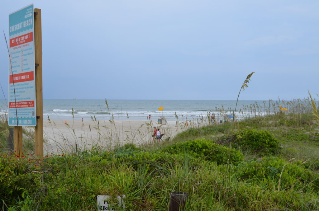 DSC_4886.JPG