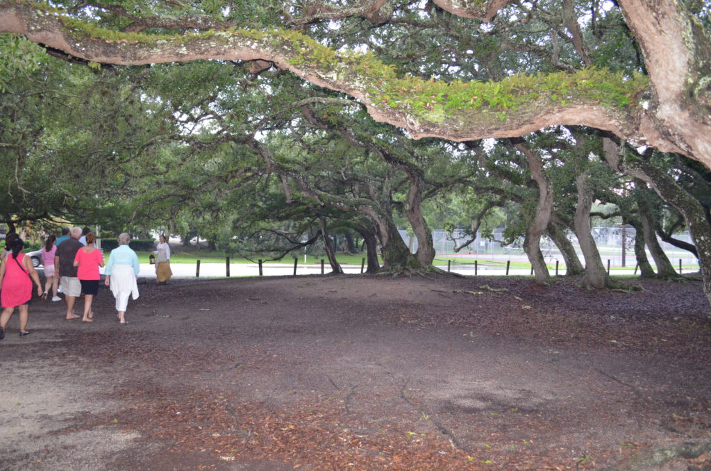 DSC_5011.JPG