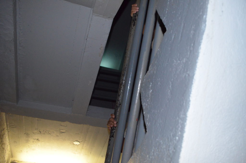 DSC_5029.JPG