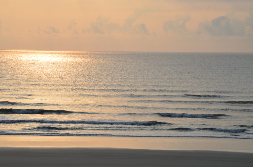 DSC_4954.JPG