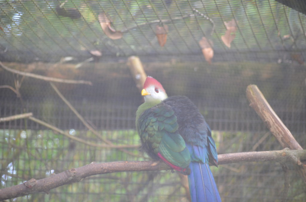 DSC_5138.JPG