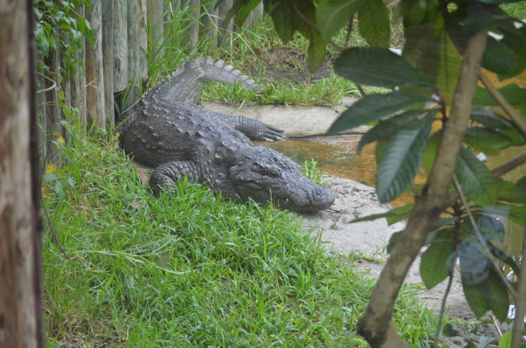 DSC_5143.JPG