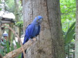 DSC_5165.JPG