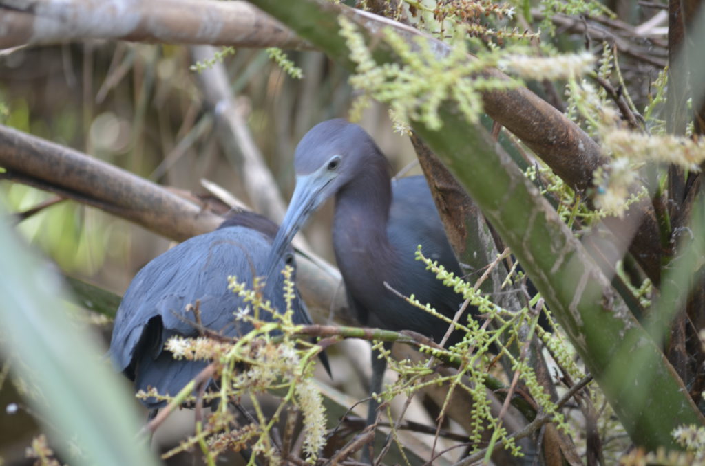 DSC_5208.JPG