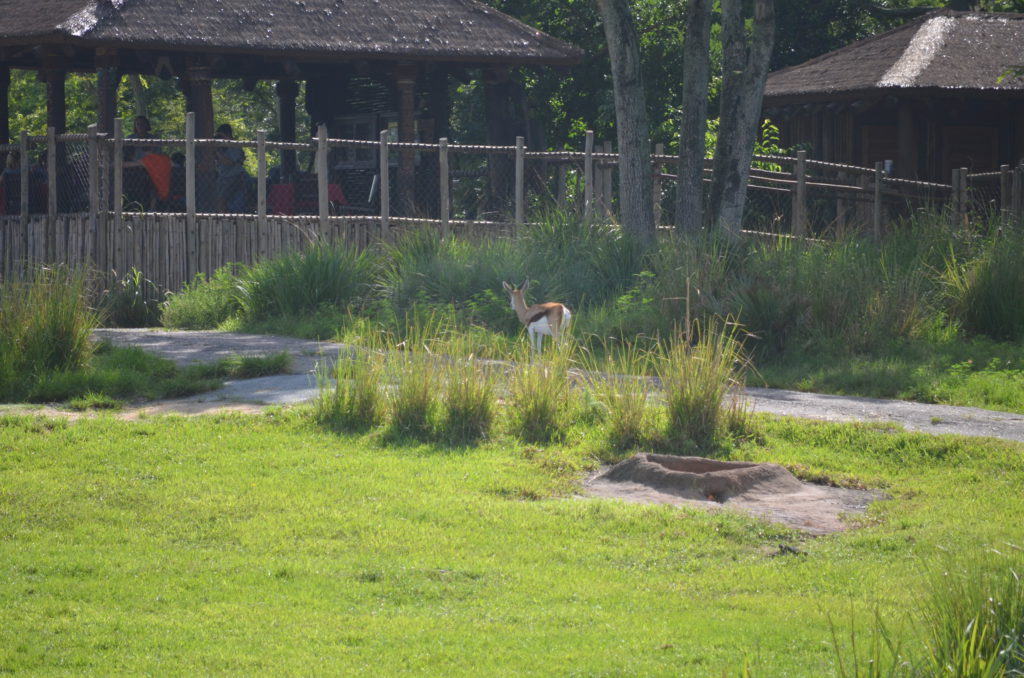 DSC_5418.JPG