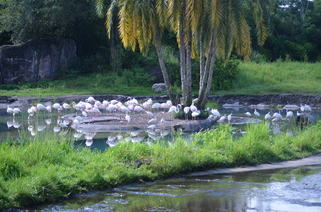 DSC_5475.JPG