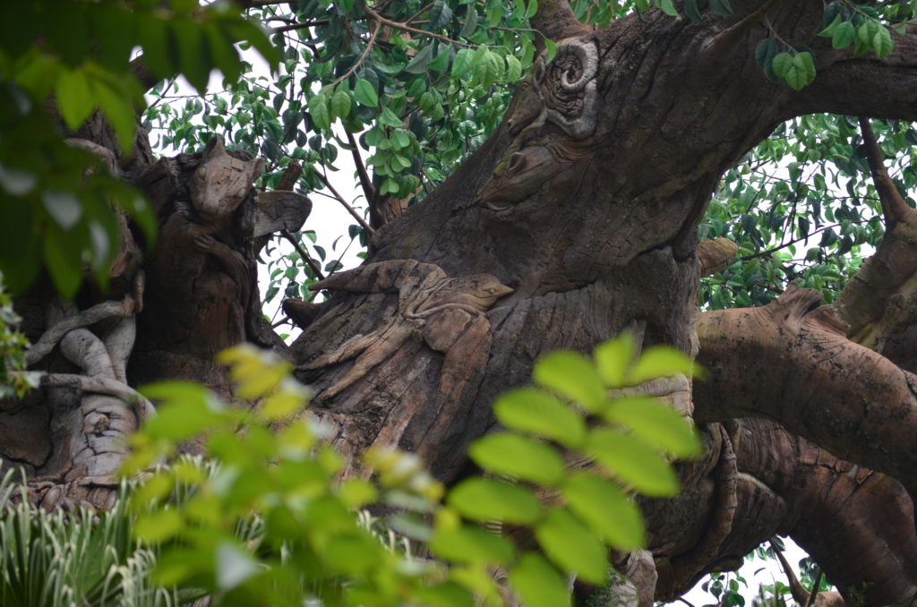 DSC_5779.JPG