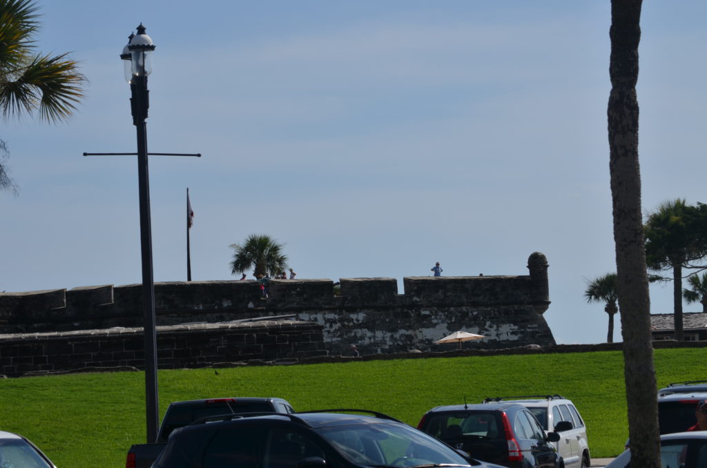 DSC_5877.JPG
