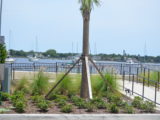 DSC_5977.JPG