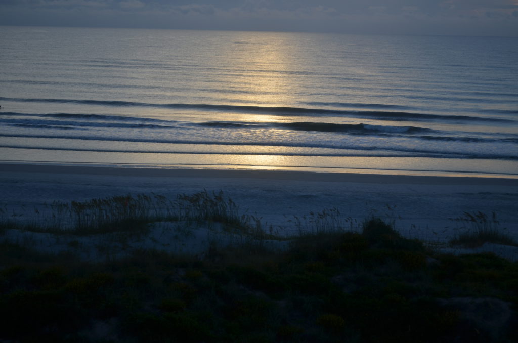 DSC_5796.JPG