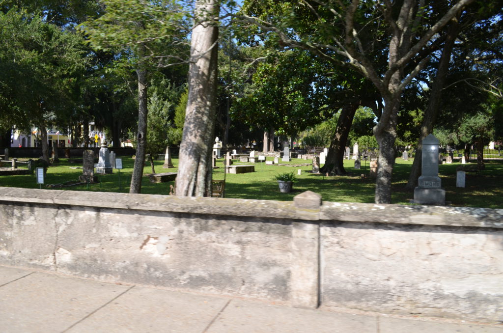 DSC_6154.JPG