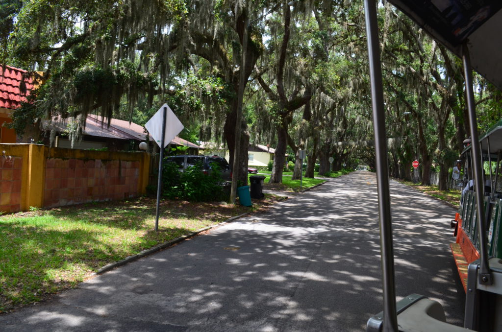 DSC_6491.JPG