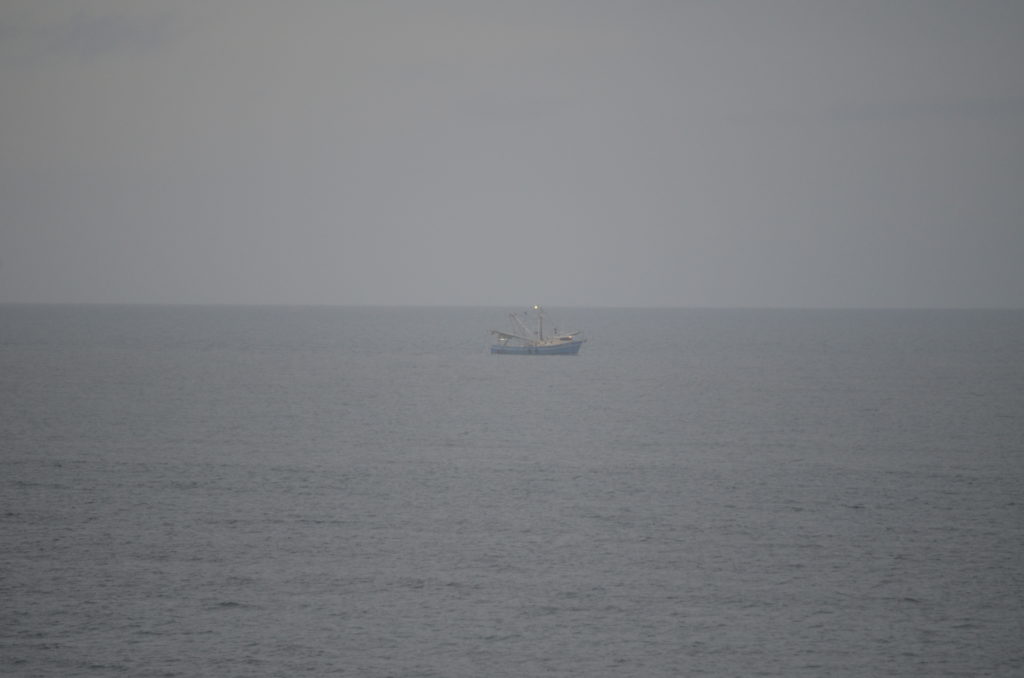 DSC_6505.JPG