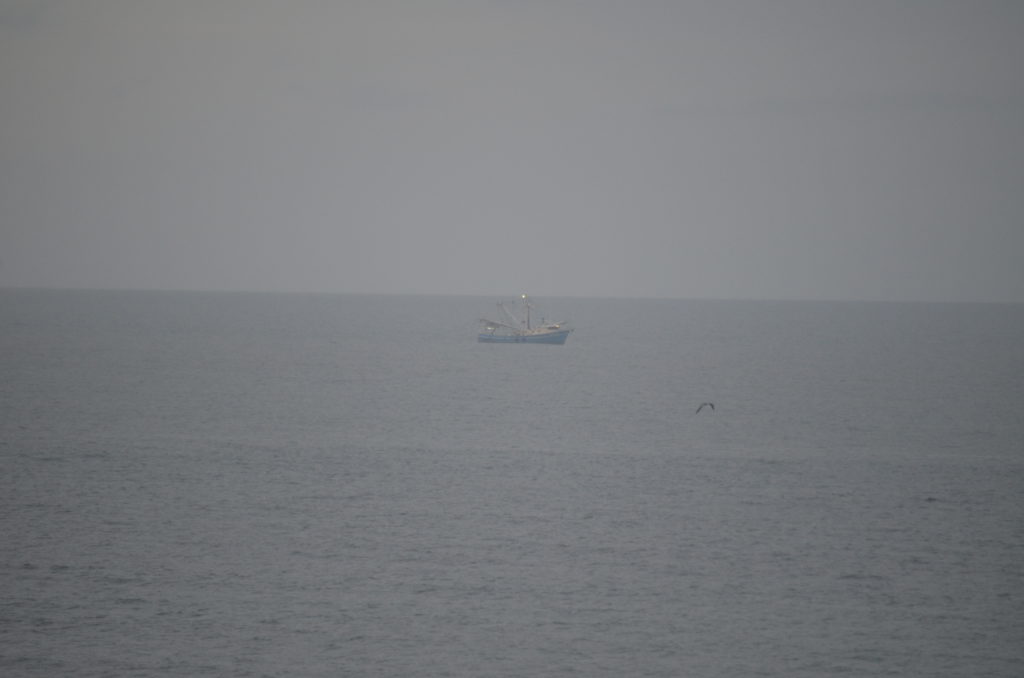 DSC_6506.JPG