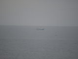 DSC_6506.JPG