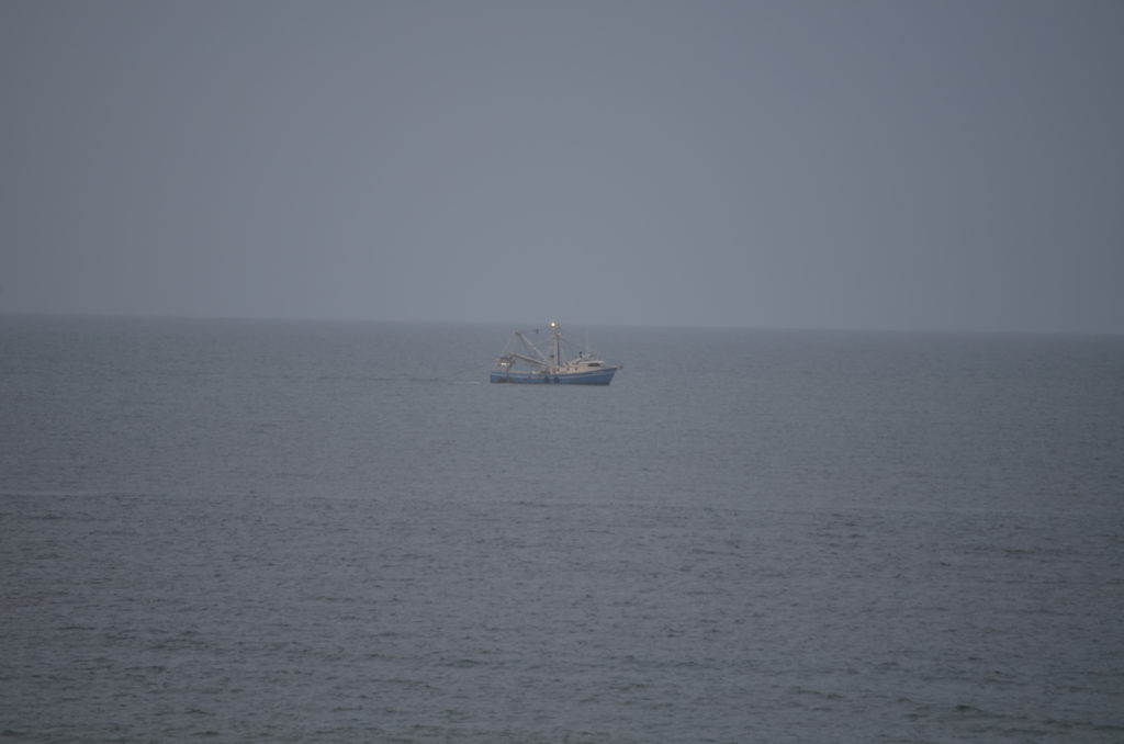 DSC_6515.JPG