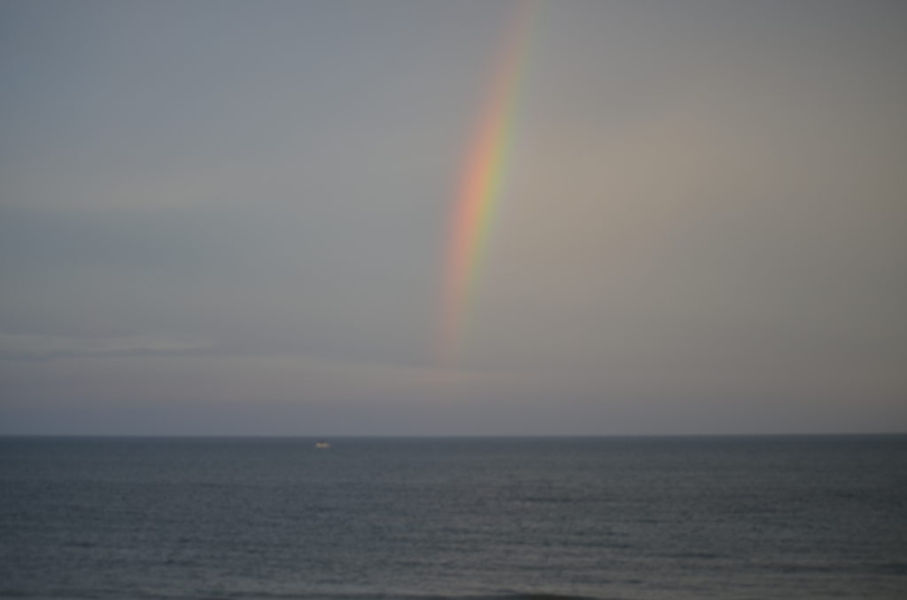 DSC_6525.JPG