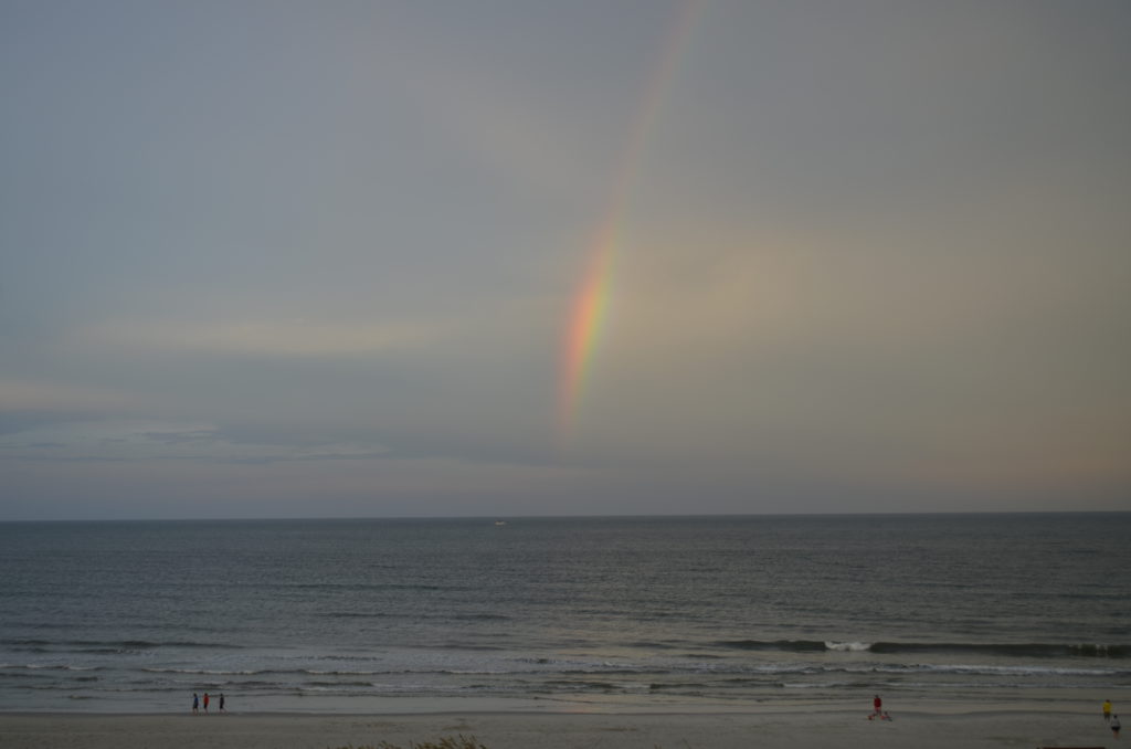DSC_6529.JPG