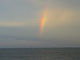 DSC_6536.JPG