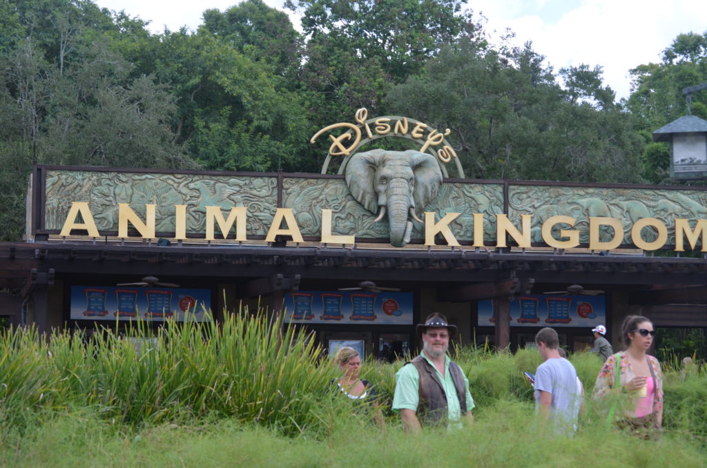 Animal Kingdom