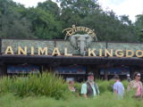 Animal Kingdom