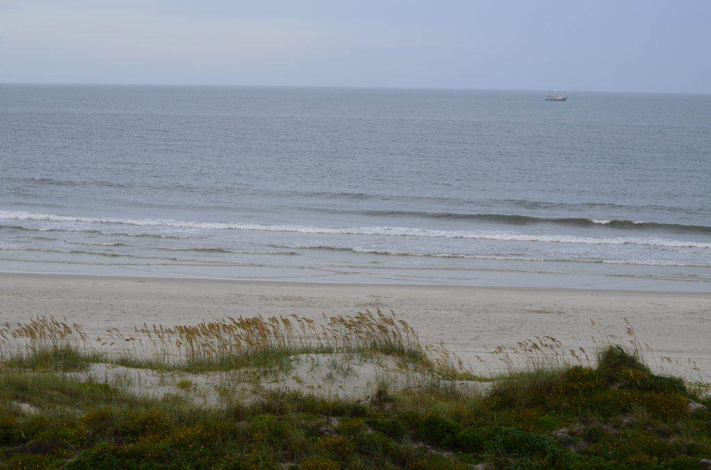 Crowded Beach