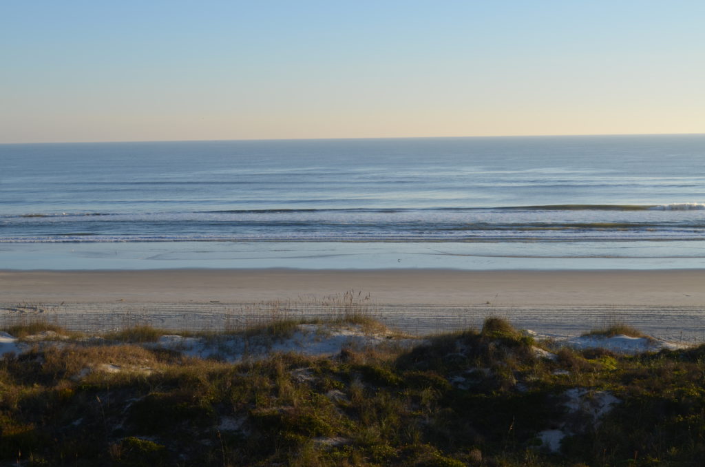 DSC_6698.JPG