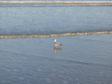 DSC_6783.JPG