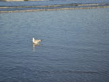 DSC_6787.JPG