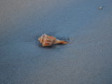 DSC_6801.JPG