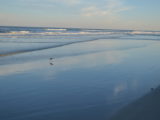 DSC_6807.JPG