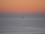 DSC_6833.JPG