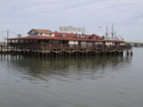 DSC_7202.JPG