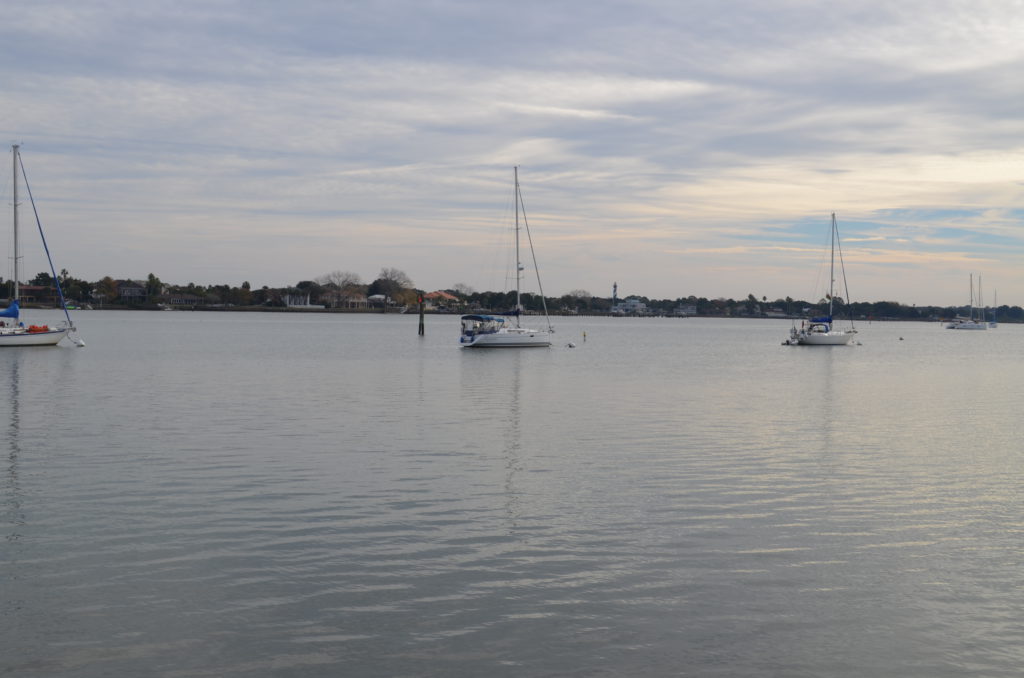 DSC_7203.JPG