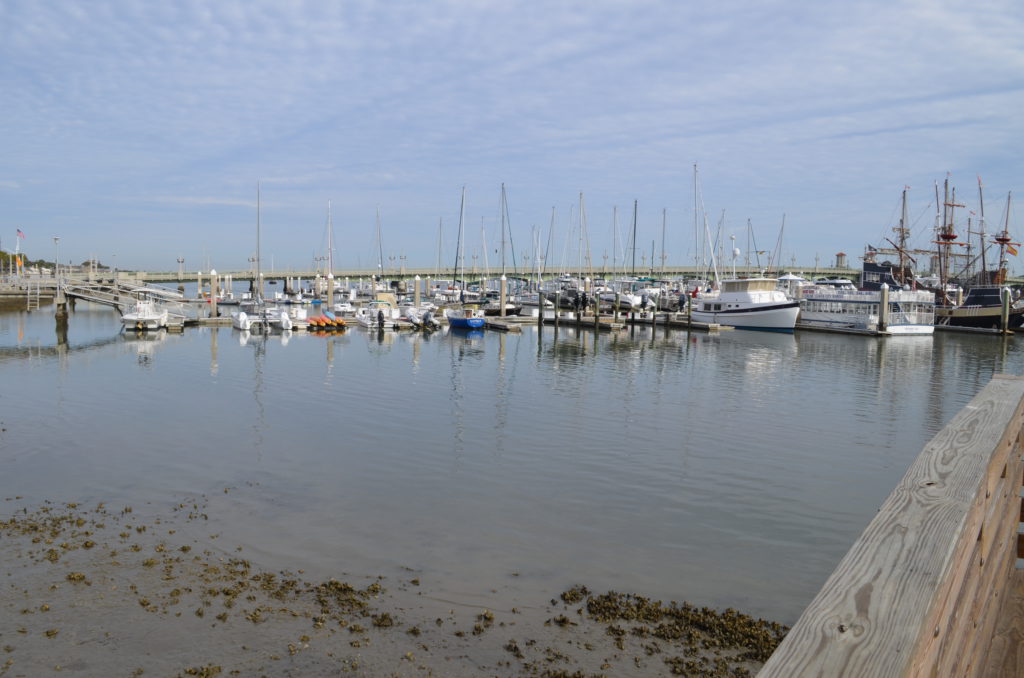 DSC_7204.JPG