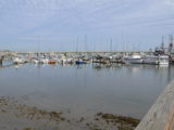 DSC_7204.JPG