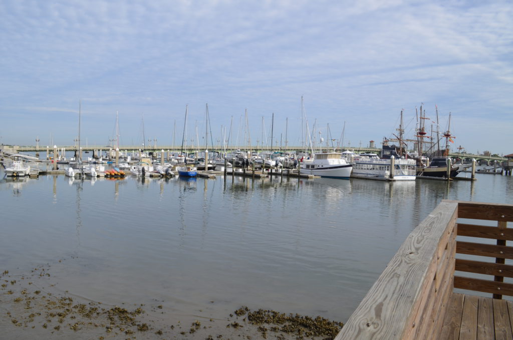 DSC_7205.JPG