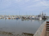 DSC_7205.JPG