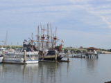 DSC_7206.JPG