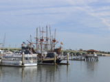 DSC_7207.JPG