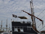 DSC_7213.JPG